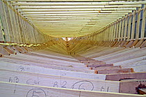 Wooden frame of the hull of a 38-metre wooden motorboat, being constructed at a boatbuilders in Fiumicino, Rome. ^^^It is rare today to see big boats such as this made of wood.