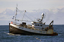 Banff-registered fishing vessel "Good Design", trawling for Prawns on the North Sea. May 2004.
