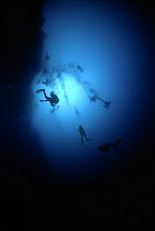 Divers seen from underneath, in the depths of Belize's Blue Hole, Caribbean.