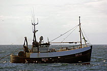 M.F.V. "Loranthus" fishing for prawns on a calm North Sea. April 2005.