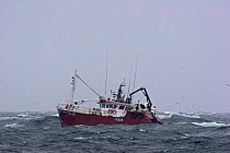 M.F.V. "Ocean Pioneer" fishing for Prawns in a force 8 gale on the North Sea. February 2005.