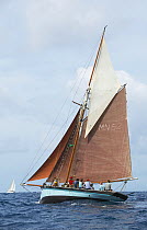 The 1888 Whitstable Oyster Smack "Ibis" racing at Antigua Classic Yacht Regatta 2005, Caribbean.