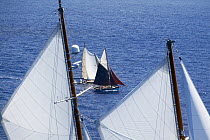Smaller gaffers, "Charm III" and the tan sail Whitstable Oyster Smack "Ibis", appearing between the masts of the three-masted schooner "Fleurtje", Antigua Classic Yacht Regatta 2005, Caribbean.