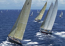 J-Class yachts "Ranger" and "Velsheda" sailing either side of the schooner "Windrose", Antigua Classic Yacht Regatta 2005, Caribbean.