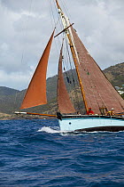 The 1888 Whitstable Oyster Smack ^Ibis^ racing at Antigua Classic Yacht Regatta 2005, Caribbean.