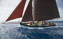 The 1888 Whitstable Oyster Smack "Ibis" racing at Antigua Classic Yacht Regatta 2005, Caribbean.