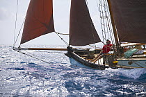 1888 Whitstable Oyster Smack "Ibis" racing at Antigua Classic Yacht Regatta 2005, Caribbean.