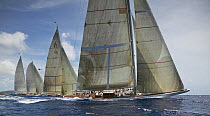 Start of the big boat class, J-Class "Ranger", "Velsheda" and schooner "Windrose" at the Antigua Classic Yacht Regatta 2005, Caribbean.