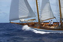 Classic yacht "Lions Whelp" racing at Antigua Classic Yacht Regatta 2005, Caribbean.