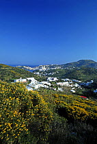 View from hills on the mediterranean island of Ponza, Italy.