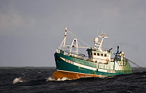 Motor fishing vessel (MFV) "Uberous" twin trawling for Prawns on the North Sea, March 2005.