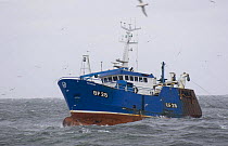Fishing vessel "Replenish" trawling for prawns, North Sea, 2005.