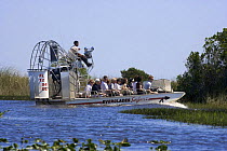 Air boat tourist trip, the Everglades, Florida, USA.