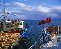 Yacht tied along side a local fishing boat beside stacked wood, Puerto Natales, Chile.