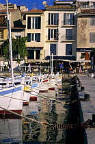 Traditional pointu fishing boats moored in the harbour of Cassis, French Riviera, France