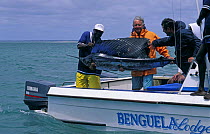 A tourist with his catch of the day, a swordfish (Xiphias gladius), Benguerra Island, Mozambique
