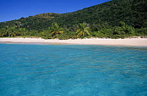 White Bay on Jost Van Dyke Island (JV Dyke), also known as Barefoot Island, British Virgin Islands (BVI)