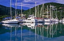Yachts moored at Nanny Cay Marina, Tortola, British Virgin Islands (BVI)