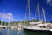 Yachts moored in Road Town Marina, Tortola, British Virgin Islands (BVI).