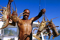 Lobster fisherman holding lobsters on board boat, Anegada Island, British Virgin Islands (BVI)