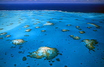 Reef on the south of Anegada Island, the only reef-based island in the British Virgin Islands (BVI).