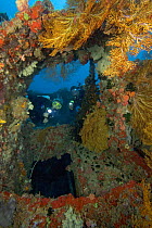 Divers exploring the Buoy 6 wreck, Palau, Micronesia. Model released.