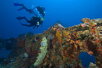 Divers exploring the Buoy 6 wreck, Palau, Micronesia. Model released.
