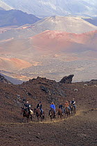 Horse riders on trail out of Haleakala Crater, Maui's dormant volcano, Hawaii. Model released.