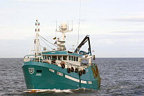 MV "Excel", a prawn fishing vessel out at sea. June 2005.