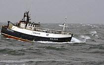 MFV "Demares" towing fishing nets for Haddock on the North Sea, September 2005.
