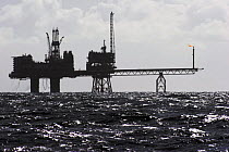Beryl Alpha Oil Production Platform, located in the UK sector of the North Sea, approximately 315 kilometres north-east of Aberdeen. August 2006.