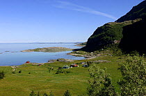 Plateau of green forms a respite from the mountainous coasts of the Lofoten Islands, situated in Norway's Arctic Circle.