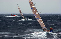 Illbruck Challenge and News Corp battle towards Hobart on leg 3 of the Volvo Ocean Race, 2001-2002.