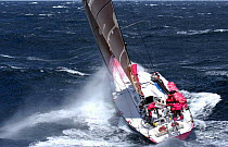 Djuice Dragons battles towards Hobart on leg 3 of the Volvo Ocean Race, 2001-2002.