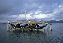 Fixed fishing pen nets supported by a wooden frame in shallow waters off the coast of Dakak Island, Philippines.