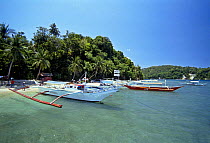 Local fishing bancas at the Coco Beach Village. Dakak Island, Philippines.