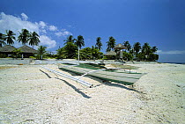 Local banca fishing boat pulled up on a coral beach on Balicasag Island, Bohol, Philippines.