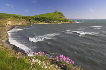 Kimmeridge Bay on a windy summers day with sea thrift (Armeria maritima) and white sea campion in the foreground. Jurassic Coast World Heritage Site. Dorset, UK. May 2006.