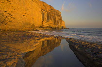 Cliffs reflected in a rock pool at Dancing Ledge near Swanage, Dorset. Jurassic Coast World Heritage Site. November 2006.