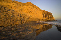 Cliffs reflected in a rock pool at Dancing Ledge near Swanage, Dorset. Jurassic Coast World Heritage Site. November 2006.