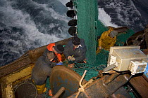 Fishermen repairing torn nets after snagging a seabed obstruction in the North Sea, August 2006.