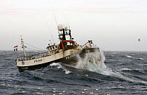 MFV "Demares" heaving up trawl warps in moderate sea swells, North Sea. September 2006.