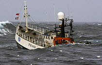MFV "Demares" heaving up trawl warps in moderate sea swells, North Sea. October 2006.