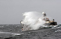Fishing vessel in rough weather, engulfed by sea spray, North Sea. November 2006.