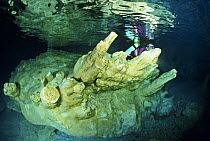 Diver exploring alabaster mineral deposits in the Alabaster Cave (La Grotta dell'Alabastro) in the dive centre of Marina di Camerota, Campania, Italy.