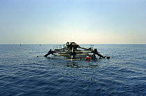 Aquaculture on sea surface, Marina di Camerota, Campania, Italy.