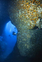 Scuba diver in Azure Cave (Grotta Azzurra), Marina di Camerota, Campania, Italy.