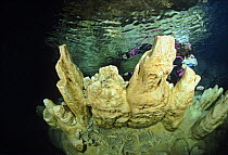 A scuba diver in the Alabaster Cave (La Grotta dell'Alabastro) in the dive centre of Marina di Camerota, Campania, Italy.