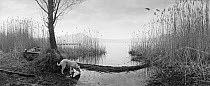 A dog standing at the lakeside of Lago di Vico (Vico lake), Lazio, Viterbo, Italy.