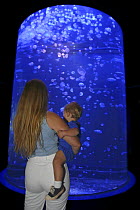Mother and baby viewing moon jellyfish (Aurelia aurita) at the Maui Ocean Center, Hawaii.